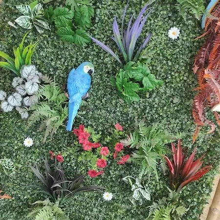 Au Nid D'ange